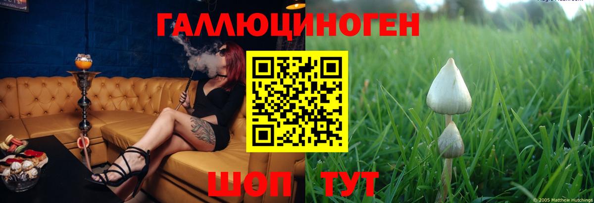 Галлюциногенные грибы GOLDEN TEACHER  где купить наркоту  Людиново  Вход с VPN 