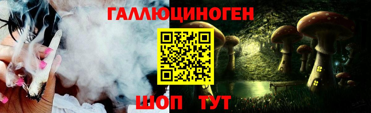Псилоцибиновые грибы Cubensis Людиново